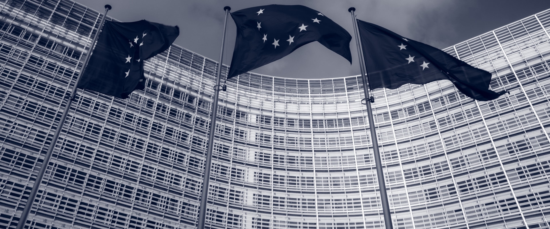 Understanding European Union Law in the UK